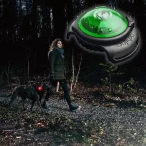 반려견야간산책 강아지 세이프 안전등 그린 애견 야간 산책 플래시 1P