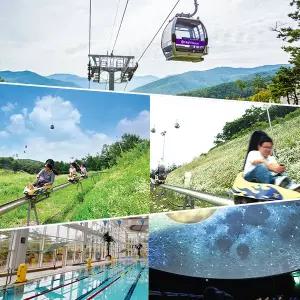 [강원] 하이원리조트 부대시설 이용권~27.3.31 (운탄고도케이블카,수영장사우나,알파인코스터,우주영상관,그랜드테이블,조식)