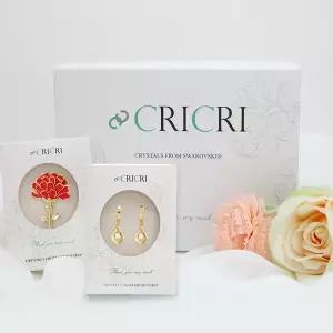[메리그린]가정의달 선물 추천 크리스탈 카네이션 브로치 + 귀걸이 2종 패키지_미판매