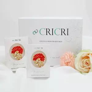 [메리그린]크리스탈 카네이션 브로치 선물세트 어버이날 가정의달 선물