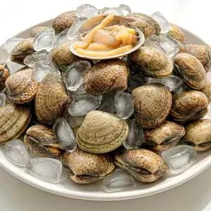 [NS홈쇼핑]남해안 활 바지락 1kg[35825763]