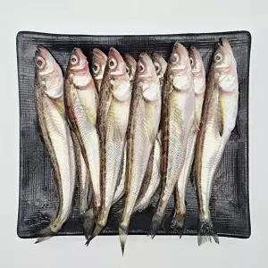 [장보리]국내산 햇 도루묵 급냉 1kg