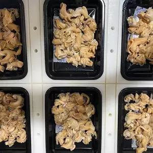 [장보리]포항 손질 자숙 골뱅이 230g x 1팩