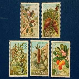 5개/세트 새로운 스페인 우표 1972 카나리아 제도 식물 MNH