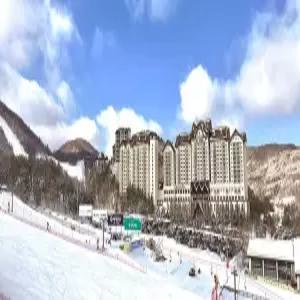 [강원] 용평 리조트(강원호텔/평창호텔/평창용평 리조트)