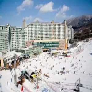 [강원] 웰리힐리파크(강원, 횡성)