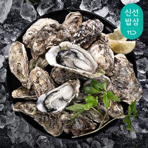 통영 산지 석화 통각굴 4kg