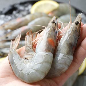 흰다리 새우 대하 1kg 약32미 내외