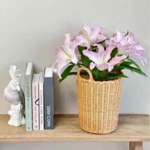 백합꽃 생화 쉐라 시베리아 과학수업 - 초중고 택배 전문