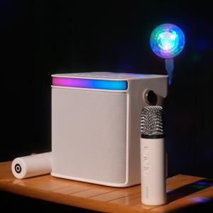 정품 아이리버 하이엔드 스피커 홈파티 휴대용  나만의 무선 블루투스 노래방 스피커 듀얼마이크 BTS-805