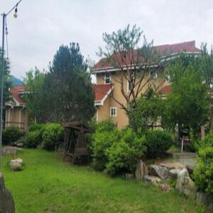 [강원] 홍천 브룸앤듀(강원, 홍천)