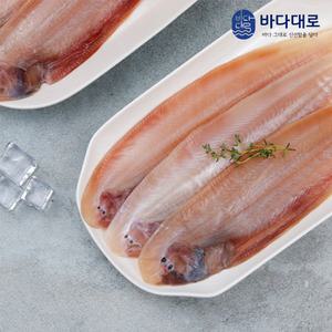 바다대로 신선하고 맛있는 군산 박대(서대) 10미