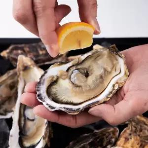 [맛딜]산지직송 제철 통영 싱싱한 석화 각굴10kg