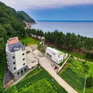 [강원] 삼척 W펜션(강원, 삼척)