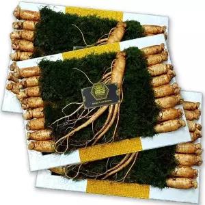 [굿소일] 고려 수삼 17뿌리 선물용 4호 금색보자기 3팩