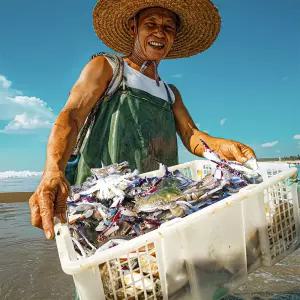 당일조업 생물 꽃게 서해안 암수혼합 활꽃게1kg (3-5미) X 1세트