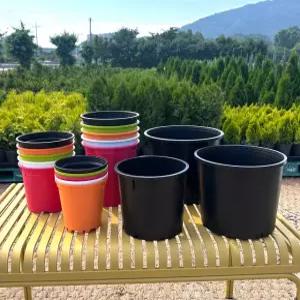국내생산 블루베리 화분 플라스틱 소형 대형 중대형 4.5L 분갈이 큰화분