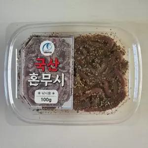 혼무시 참갯지렁이 바다낚시미끼 원투 선상 찌낚시 감성돔 참돔 돌돔 민어 붉바리