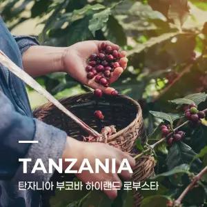 캅카와 탄자니아 부코바 하이랜드 로부스타 생두커피 10kg 1개