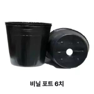 [LS mall] 왕도매 비닐포트 6치 1000개 대용량 블루베리포트