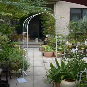 장미 아치형 정원 철제 트렐리스 덩굴 지지대 포도 클레마티스 흰색 야외 가든 식물