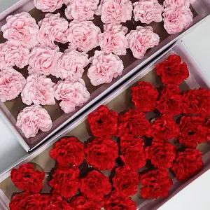 카네이션 비누꽃 25송이 재료 DIY 도매