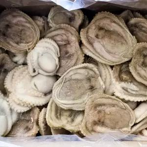 자연산 주꾸미 5kg 대용량 업소용 쭈꾸미 냉동