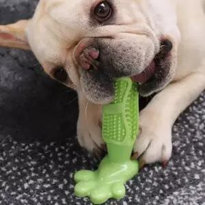 [반려] 그린 반려견 치카토이 강아지 셀프칫솔 치석제거