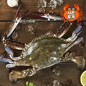 [[서촌꽃게] 연평도 냉동 숫꽃게 10kg