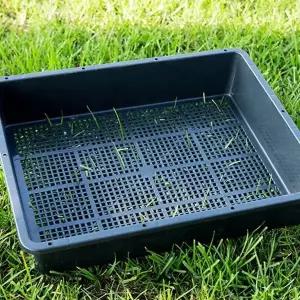 가정용 모종 키우기 트레이 4p 식물 채소 꽃 파종판 모종판