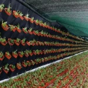 벽화분 64포켓 부직포 행잉 수직 정원 화분