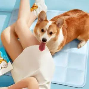 [셀러에이드]반려동물 쿨매트 냉감패드 쿨방석 강아지 TS240818