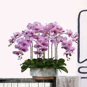 꽃꽂이 조경 플라워 사무실 인테리어 웨딩 동양란 호접란