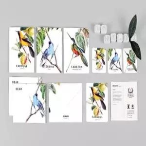 [문구] 카드세트 버드 4개 다꾸 문구 편지 기념일 감사인사