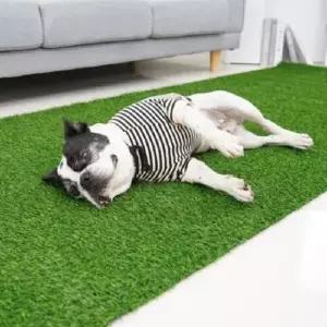 강아지매트시공 레드퍼피 가정용 카페 인조잔디