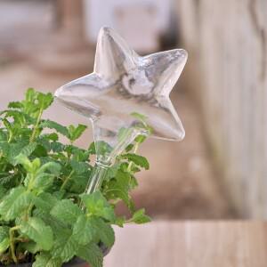 관엽 식물 자동 자체 급수 유리 새 물을 캔 꽃 장식 투명 장치