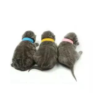 탯줄 목걸이 인식표 12색 1세트 새끼동물 출산준비물