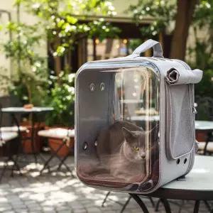 반려동물 이동장 산책 강아지 고양이 캐리어 펫백팩 이동가방 이동장 소형견 중형견