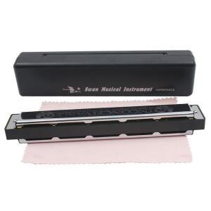 전문 백조 24 홀 C & D 키 양면 하모니카 실버 트레몰로 단자문 연주 악기