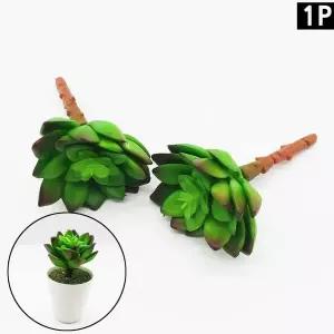 F1 다육이조화 연꽃형