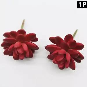 F1 꽃조화 빨강연꽃