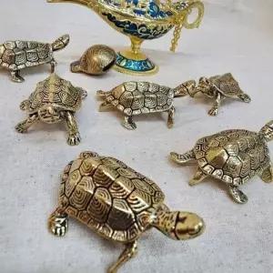 장식 황동 장수 개업선물 돈들어오는 거북이 돈거북