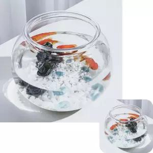 물멍 플라스틱 원형 베타 미니어항 큐브 둥근 알비노폴레드구피 금붕어키우기 18X16cm