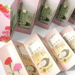 명절 10쪽 용돈 병풍 세배돈 1P 기념일 봉투 부모님용돈 카네이션 고급 감사_24871017