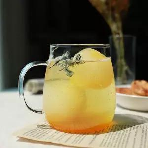 내열유리 항아리컵 예쁜투명유리컵 캡슐커피잔