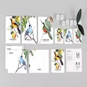 [문구/오피스] 카드세트 버드 4개 다꾸 문구 편지 기념일 감사인사