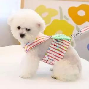 [반려] 조끼 애견 외출 리드줄 데일리 하네스 포인트 리본