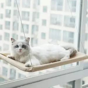 [반려] 방석 창문 캣 숨숨 고양이 예홈펫 타워 해먹 집 침대