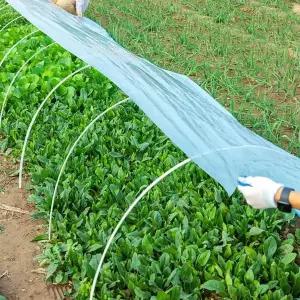 TBZ 비닐하우스비닐 자재 도시농업 농자재 소형2m x 10m