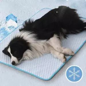 [에이치플러스몰]강아지 대형견 쿨매트 매트 XL XXL 고양이 쿨방석 냉감패드 애견